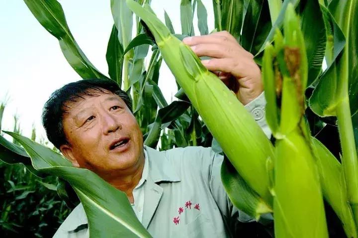 我国科学家成功刷新世界纪录,世界最伟大的农业科学家