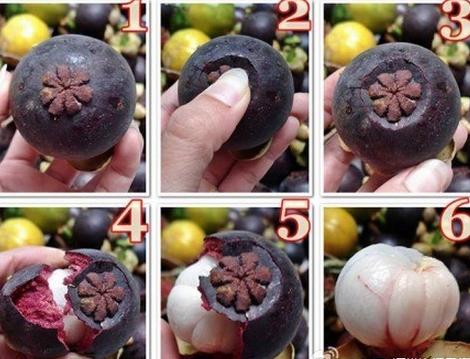 山竹有哪些问题,关于山竹的那些事