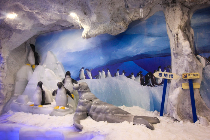 带着寻宝记游遍祖国大好河山,带着挖机去海边度假