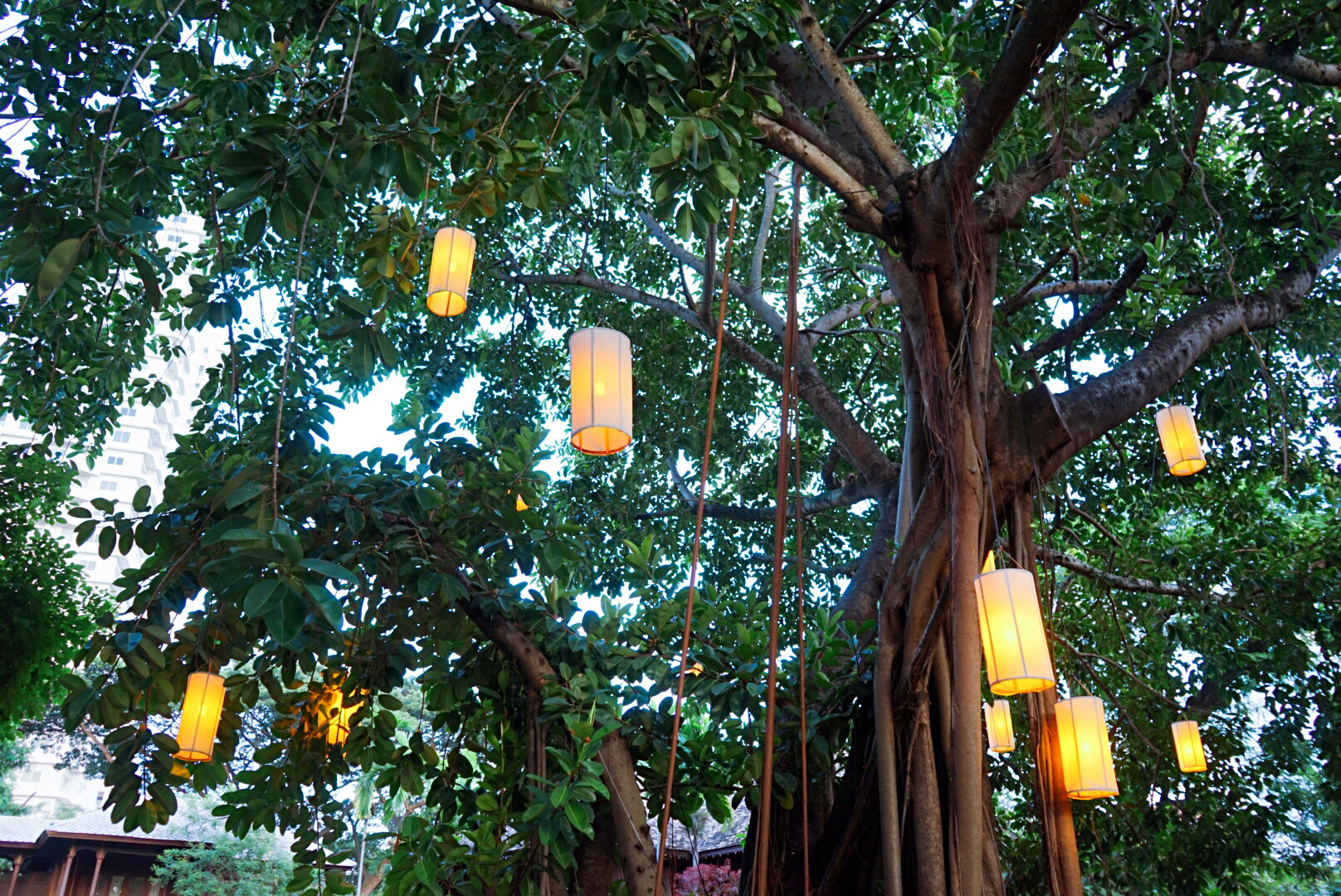 住进这家清迈的轻奢酒店,才知道,原来泰国旅行可以哪都不用去