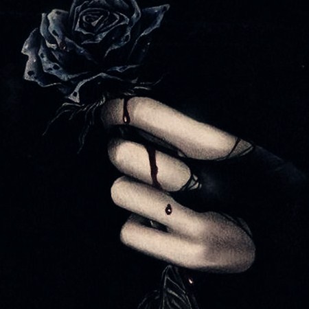 有什么很好听好看的网名个性签名,有什么好听的网名和图片