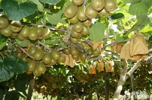 三分钟让你读懂盐亭的前世今生!