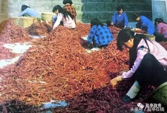 三分钟让你读懂盐亭的前世今生!