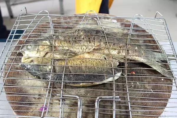 为什么越来越多人选择烤鱼开店，影响烤鱼生意的因素是什么