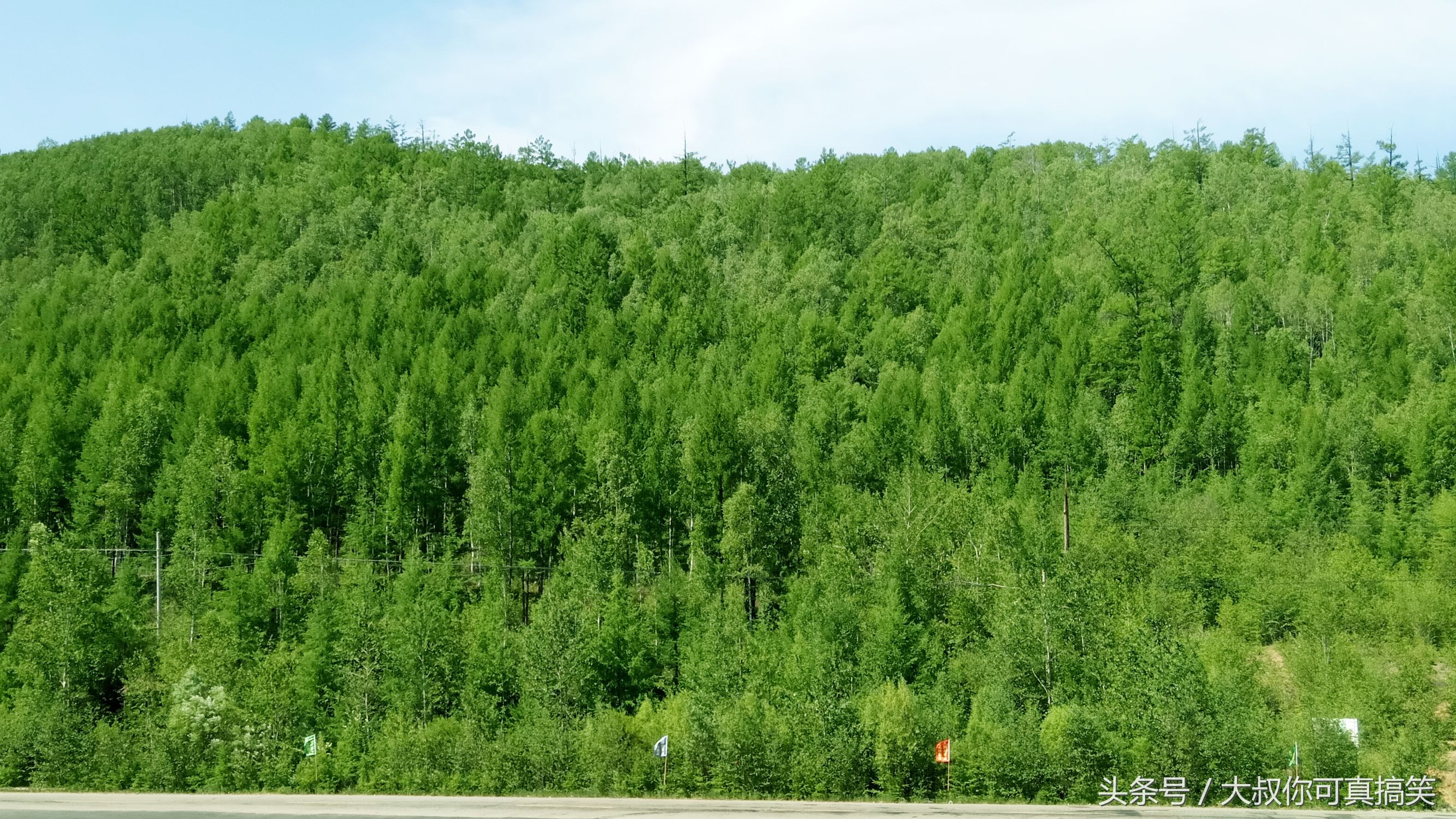 你所不知道的内蒙古牛肉干,内蒙古呼伦贝尔特产有哪些