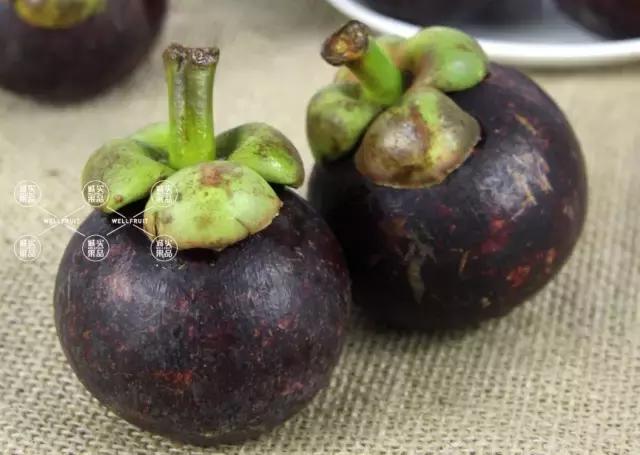 山竹有哪些问题,关于山竹的那些事