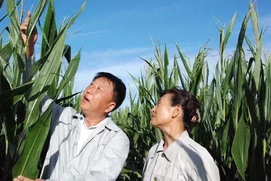 我国科学家成功刷新世界纪录,世界最伟大的农业科学家