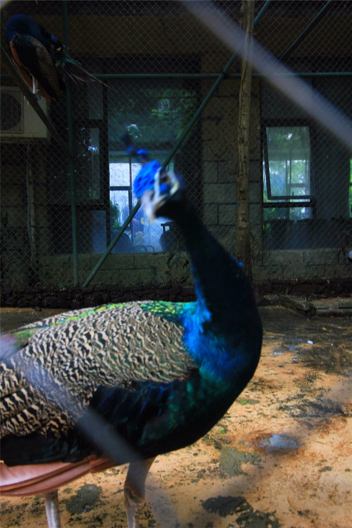 带着寻宝记游遍祖国大好河山,带着挖机去海边度假