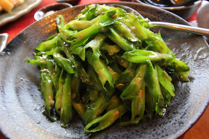 带着寻宝记游遍祖国大好河山,带着挖机去海边度假