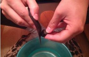 如何挑选琥珀蜜蜡,如何挑选琥珀手串