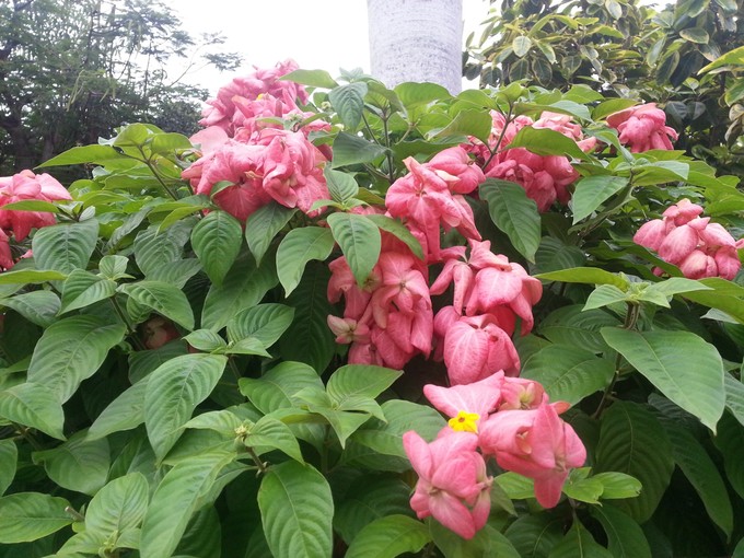 面朝大海春暖花开旅游,面朝大海春暖花开4