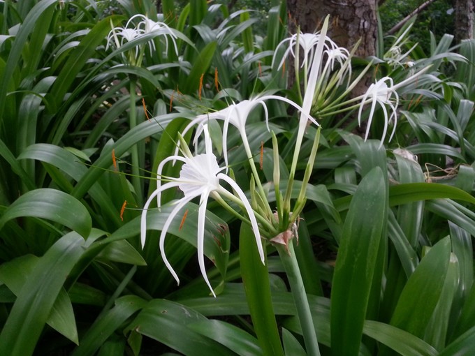 面朝大海春暖花开旅游,面朝大海春暖花开4