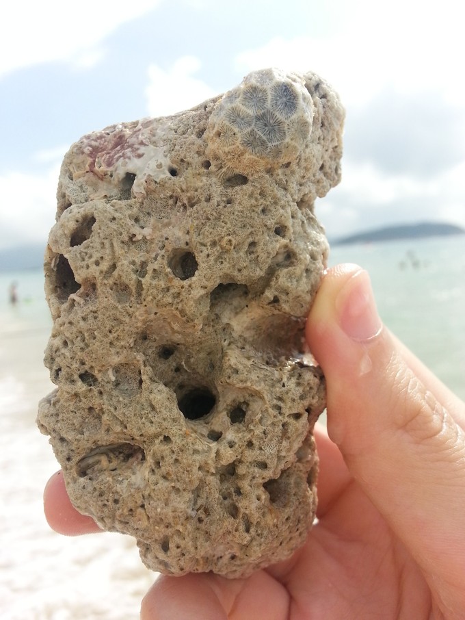 面朝大海春暖花开旅游,面朝大海春暖花开4