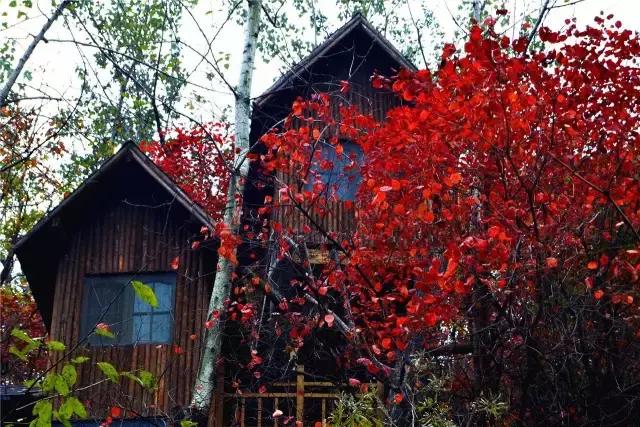 济南有露台的房子,济南恒大帝景空中别墅