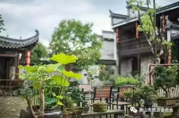 国庆出游去哪儿玩儿,国庆去安徽哪里玩