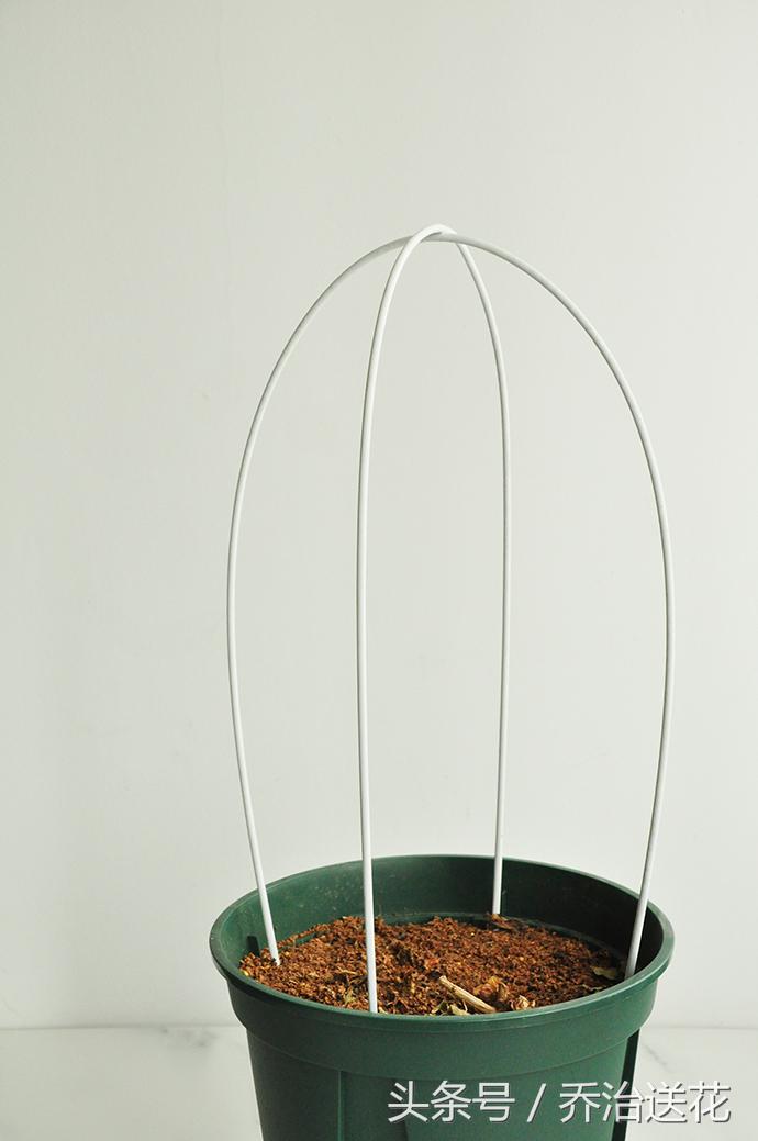 简易木板自制花架,diy自制花架制作方法