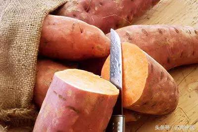 把主食换成粗粮就能瘦,把主食换成它