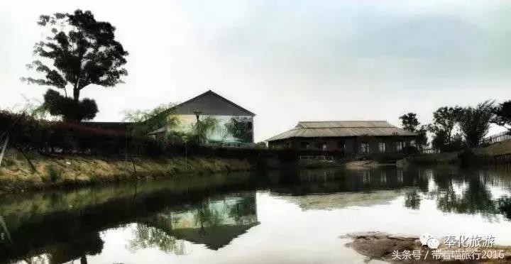 奉化旅游攻略两天一夜,十一宁波奉化旅游景点