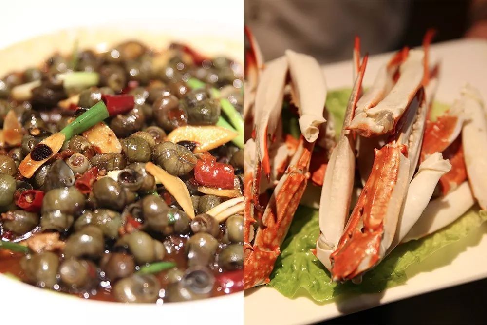 宁波罗曼蒂克火锅,宁波大排档探店