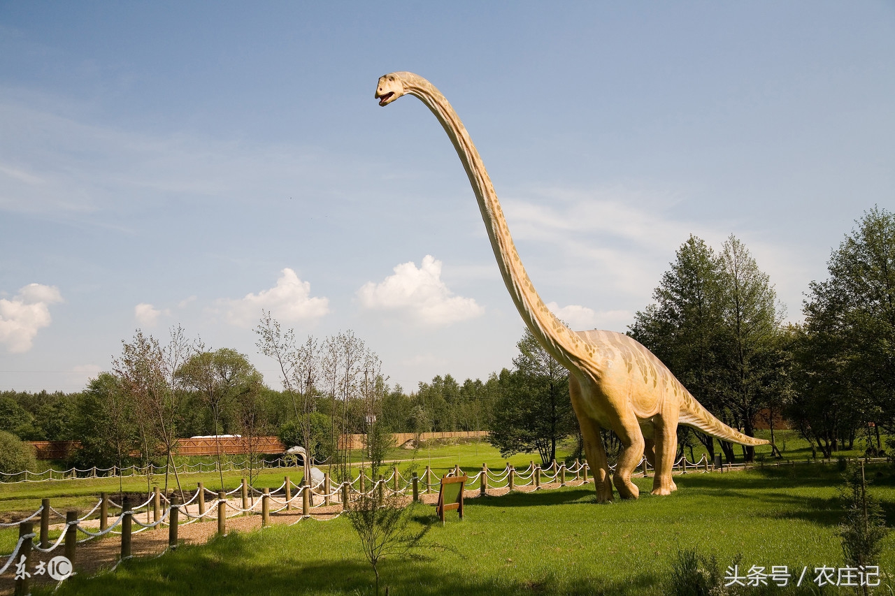 南京附近吃住全包农家乐,南京溧水农家乐住宿一日游