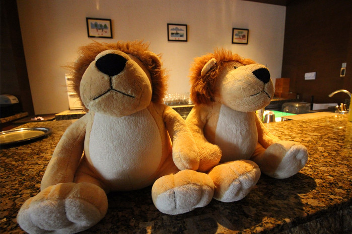 带着寻宝记游遍祖国大好河山,带着挖机去海边度假