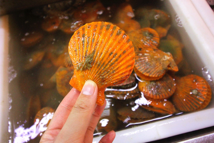 带着寻宝记游遍祖国大好河山,带着挖机去海边度假