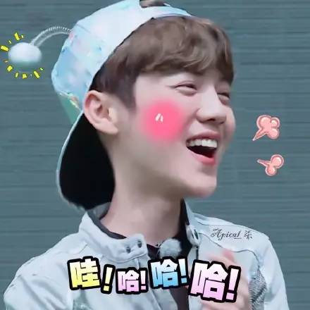 美妆博主常用水乳套装推荐,美妆圈水乳排行榜前十名