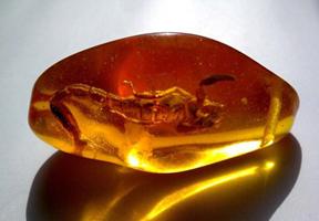 如何挑选琥珀蜜蜡,如何挑选琥珀手串