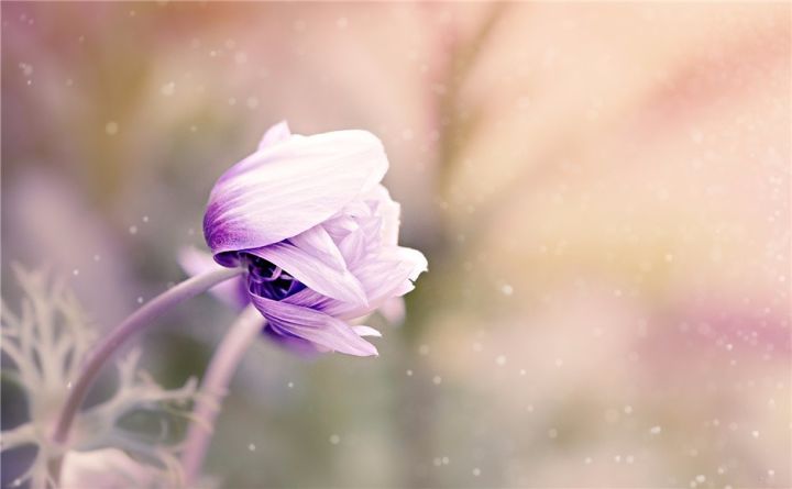 心灵鸡汤英文经典语录短句,英文毒鸡汤经典短句