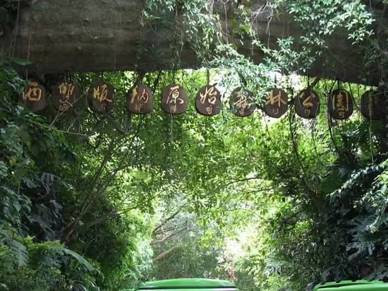 西双版纳景洪游记,云南西双版纳景洪旅游攻略