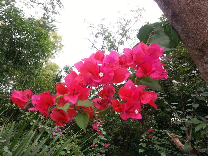 面朝大海春暖花开旅游,面朝大海春暖花开4