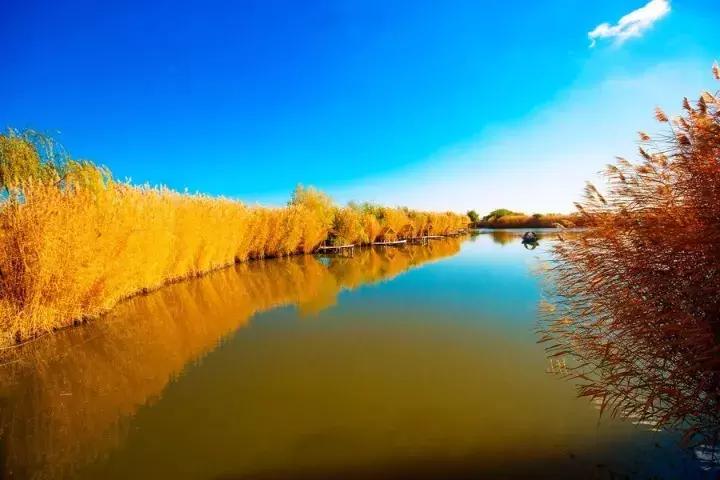 博湖县是南疆哪里,博湖县有哪些景区