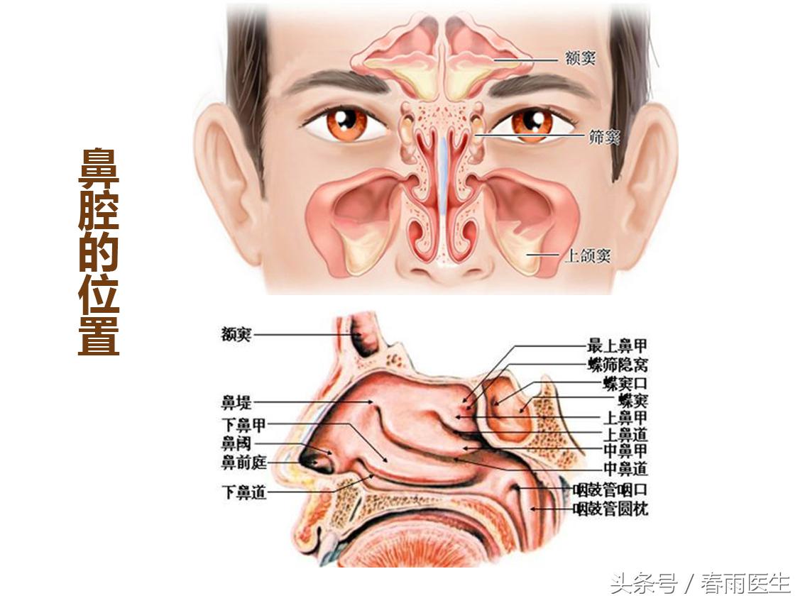 鼻塞鼻痒打喷嚏用什么鼻炎药,鼻塞打喷嚏鼻炎怎么治疗最好