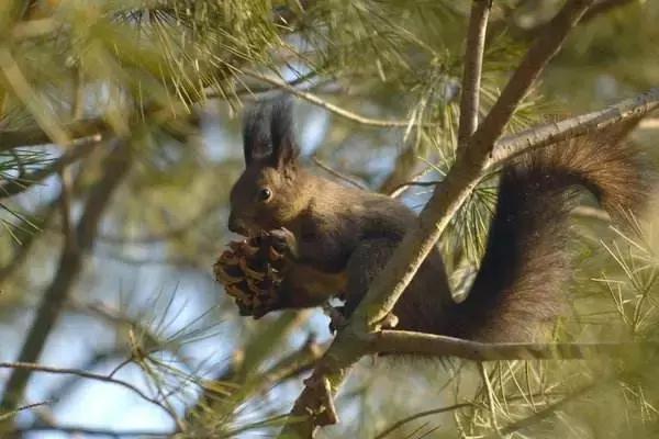济南有露台的房子,济南恒大帝景空中别墅