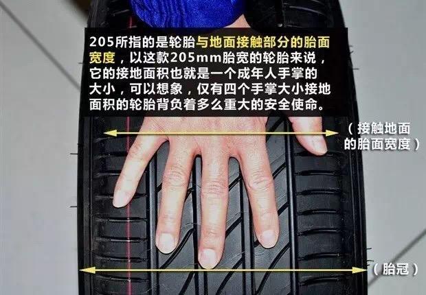 濂介┈閰嶅ソ闉嶅ソ杞﹀氨瑕佺敤濂借儙,濂介┈閰嶅ソ闉嶅ソ杞﹂厤濂借儙璇濇湳