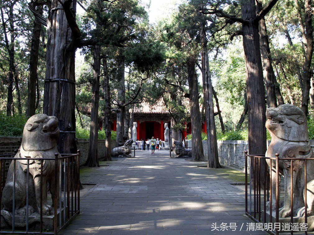 孔子文化曲阜三孔简介,曲阜三孔孔子老家