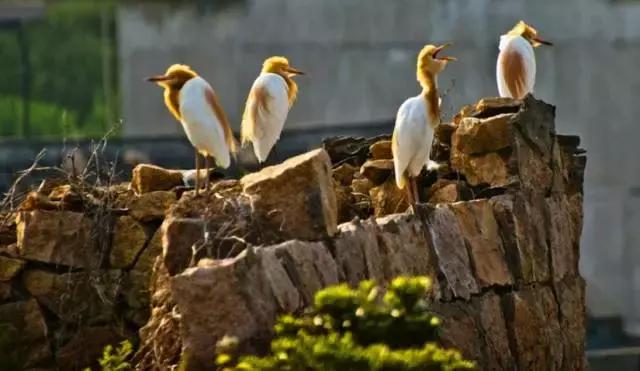 浙东旅游小岛,浙东海滨城市温岭
