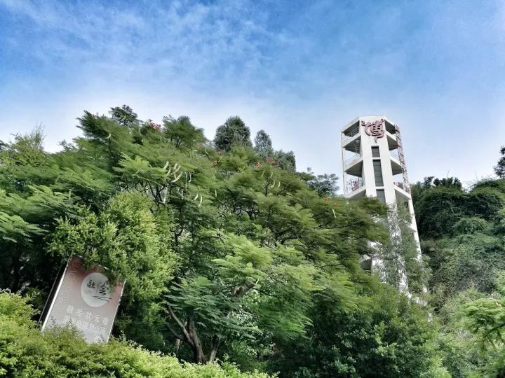 写完影评写食评，厦门吃货出走十年归来仍是少年！