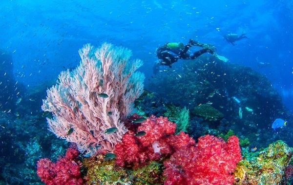 免签海岛｜人均3000元，就能去这个越南“海南岛”度个假