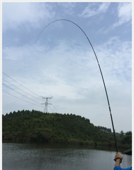 水库钓鱼捕鱼,水库钓的鱼身上有伤是怎么回事