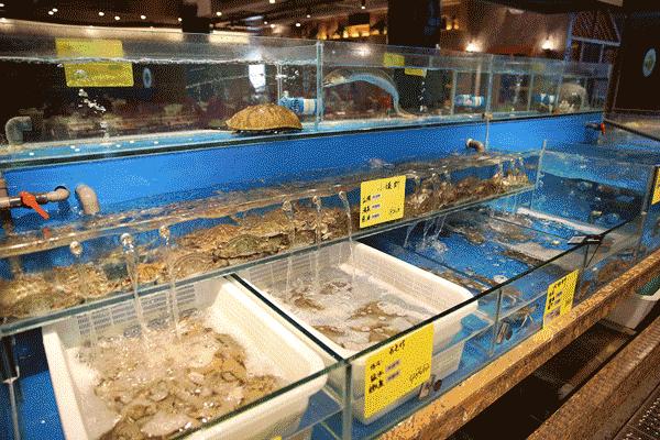 宁波罗曼蒂克火锅,宁波大排档探店