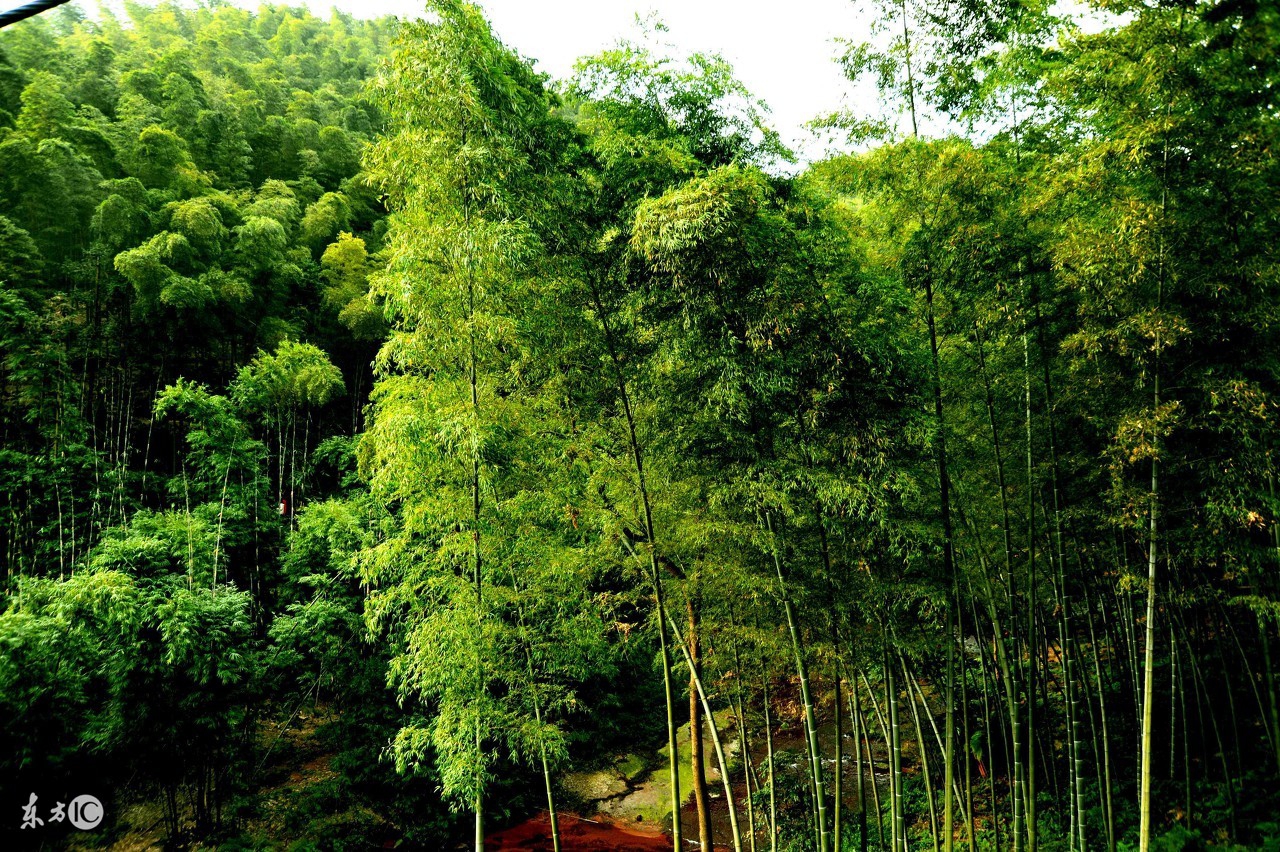 你为什么总觉得你很穷,你为什么穷因为认知太低