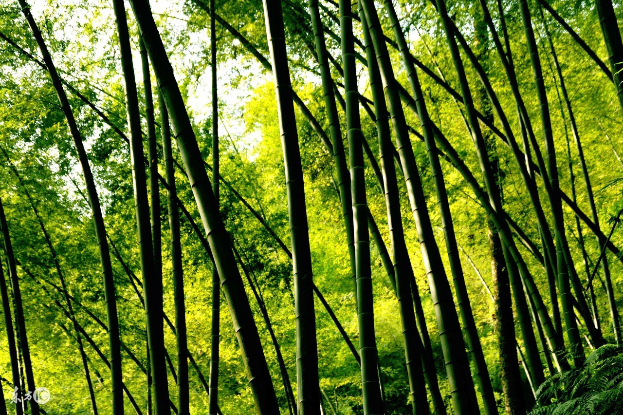 你为什么总觉得你很穷,你为什么穷因为认知太低