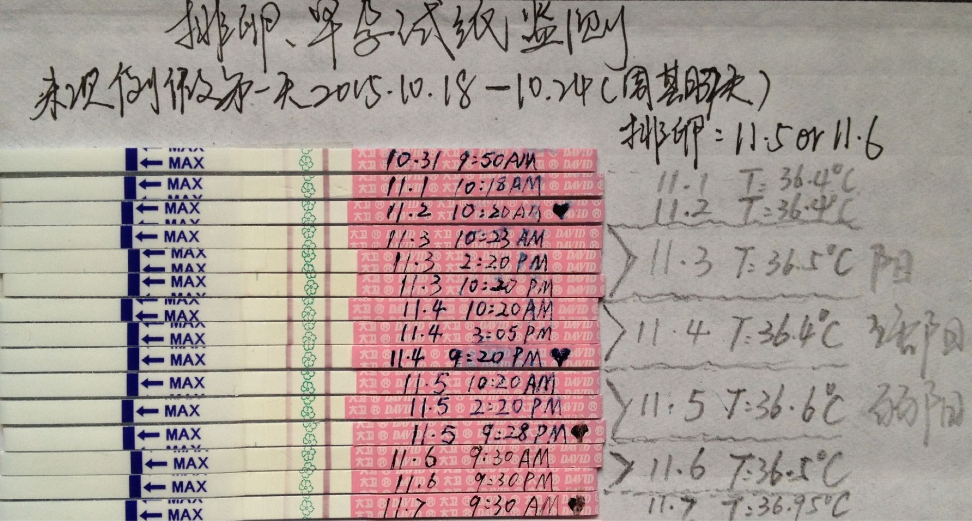 按照地心引力，这样做能让小蝌蚪们更接近子宫口