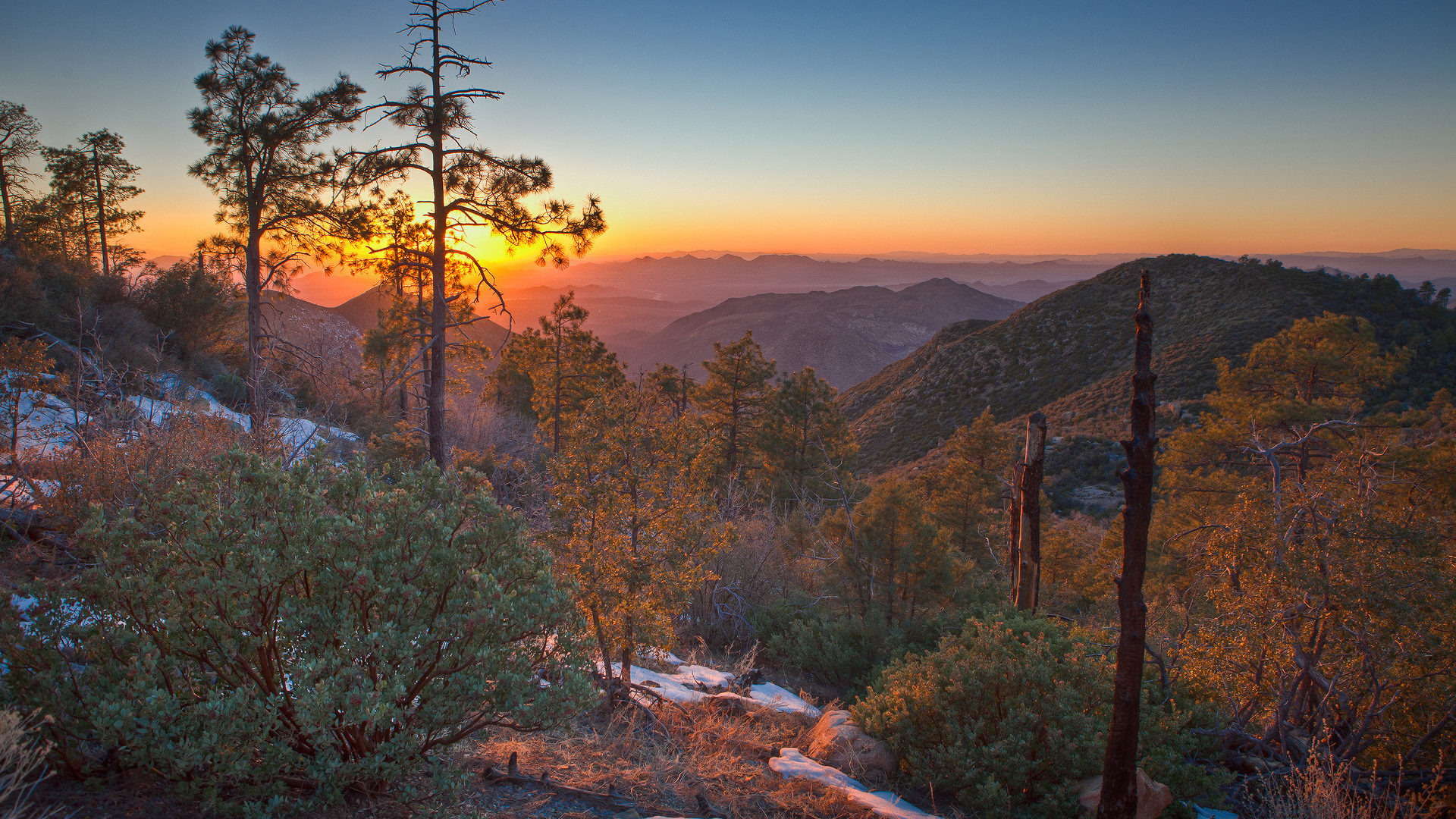 高三数学第一轮复习计划,高三数学数学思想与解题策略