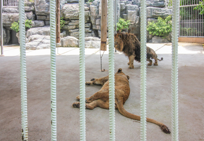 带着寻宝记游遍祖国大好河山,带着挖机去海边度假