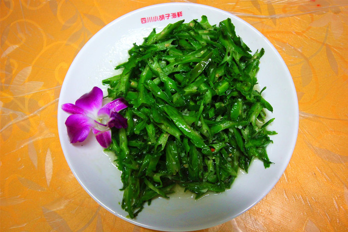 带着寻宝记游遍祖国大好河山,带着挖机去海边度假