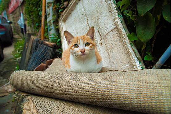 iphonexfaceid用不了了,iphonexfaceid不可用