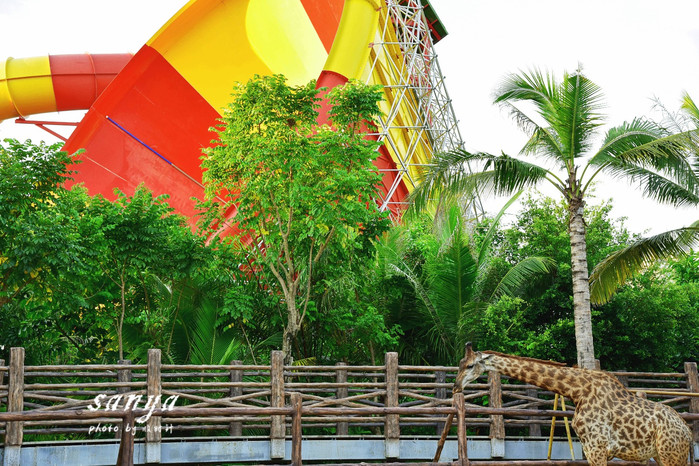 天堂很远中国很近,天堂很远扎西尼玛