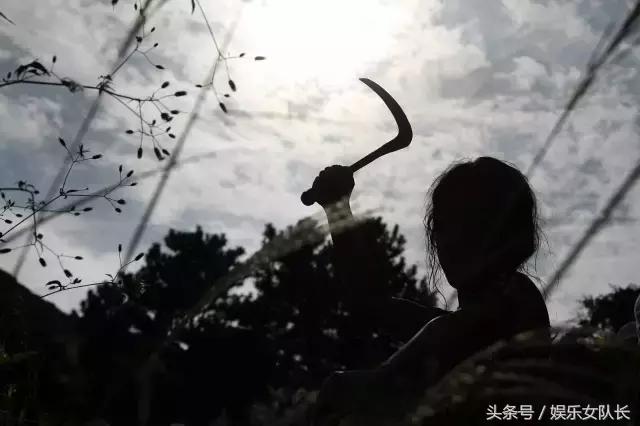 女人复仇的美国电影推荐榜,女性复仇电影推荐